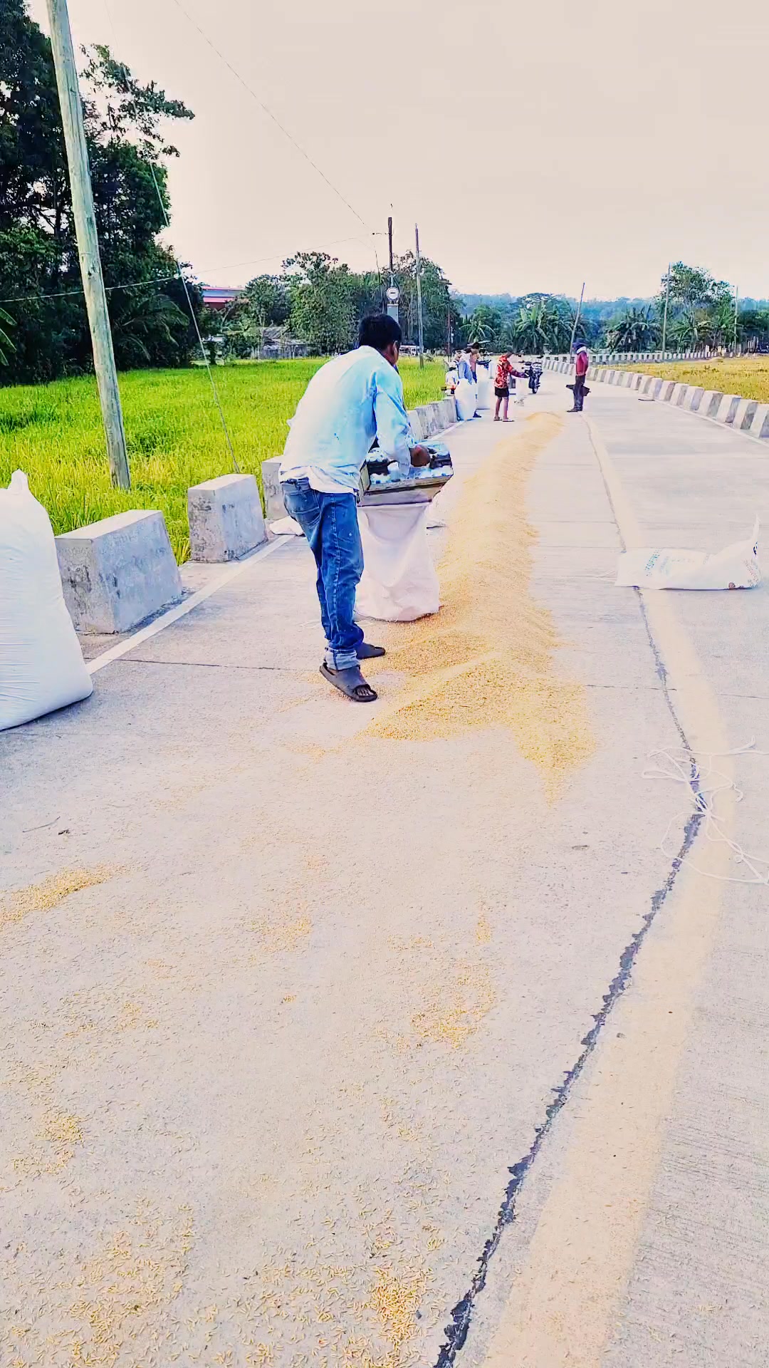 RORO TRAVEL with MOTORCYCLE, Magkano ang Gastos? Dumangas Roro Port ILO ...