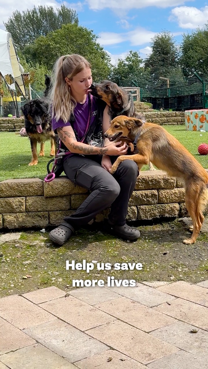 Lots of people giving a little is what keeps us going. If you can spare ...