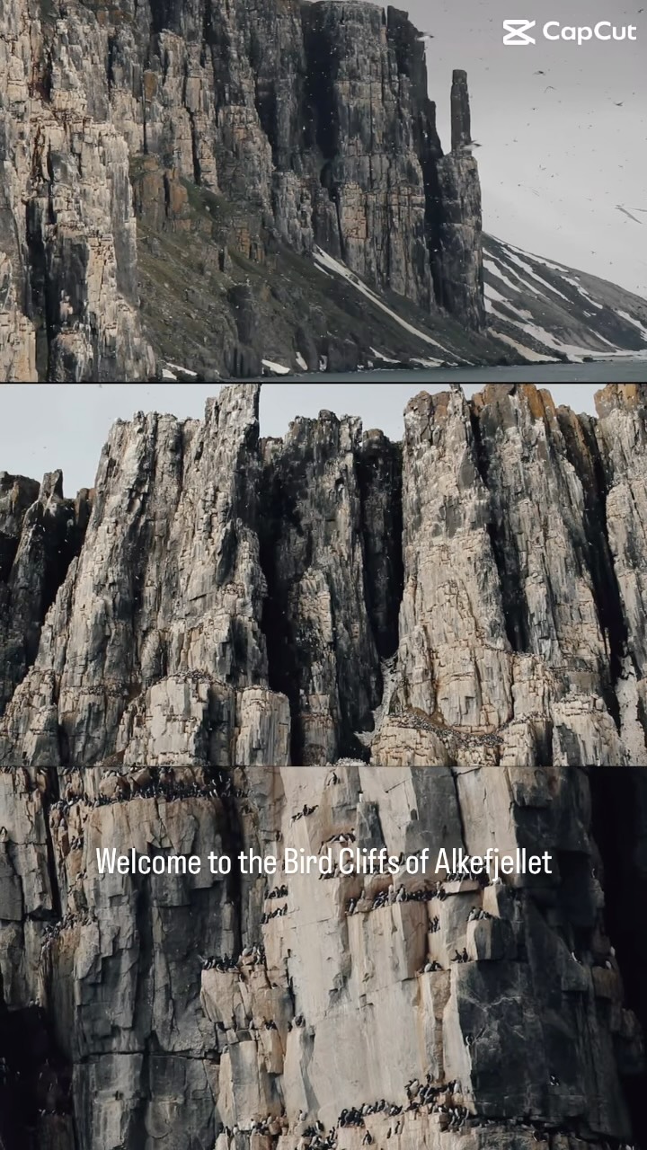 Amazing What Is 3 Of 60000 Images