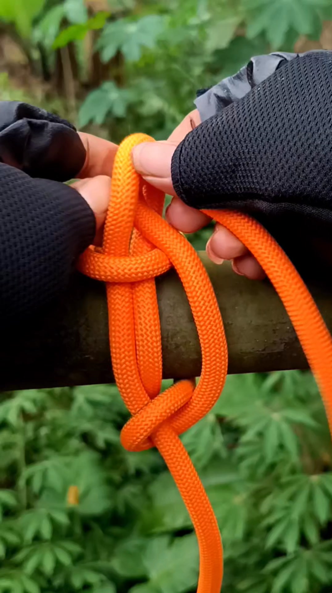 Essential Knots for Camping and Survival #KnotTutorial #a #rope # ...
