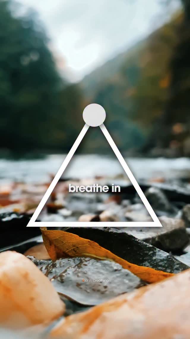 Gallery image with a fresh perspective