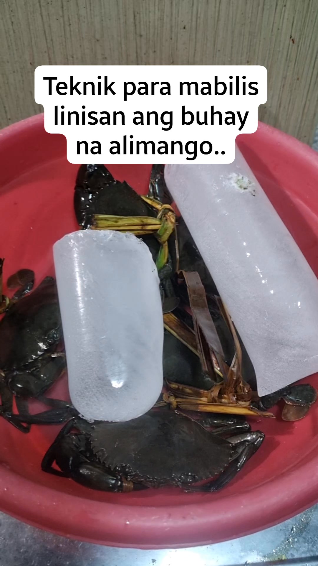 Kayo po anung teknik para mabilis linisan ang buhay na alimango. # ...