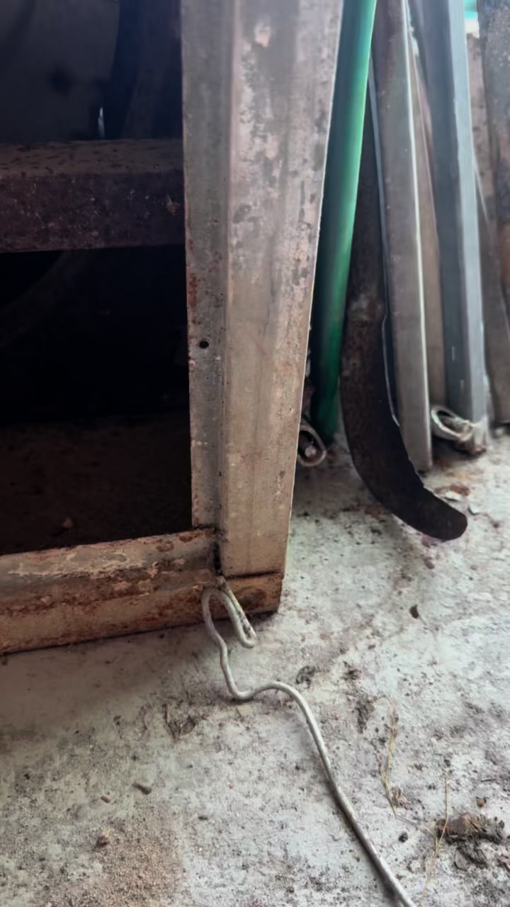 Rescue of a family of cats stuck in an old fan. Watch the full rescue ...