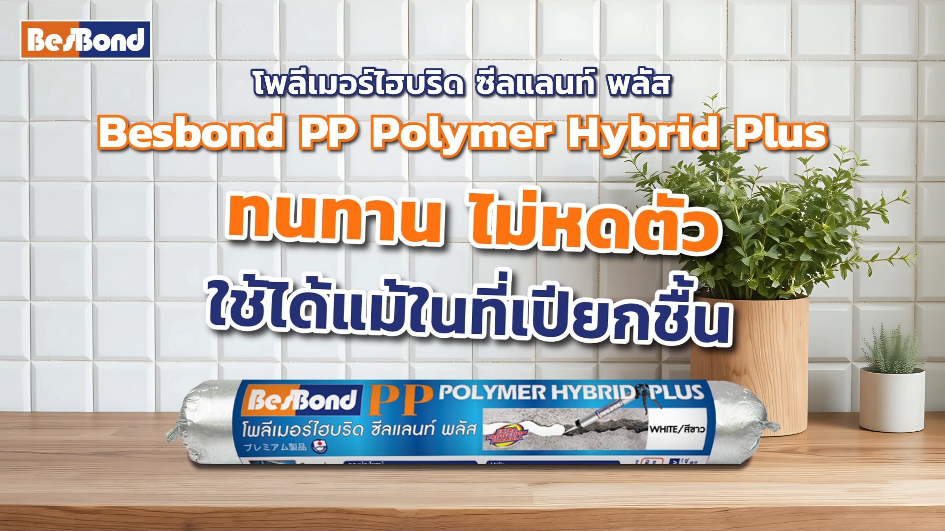 #เบสบอนด์_โพลีเมอร์ไฮบริด_ซีลแลนท์_พลัส #Besbond_PP_Polymer_Hybrid_Plus ...