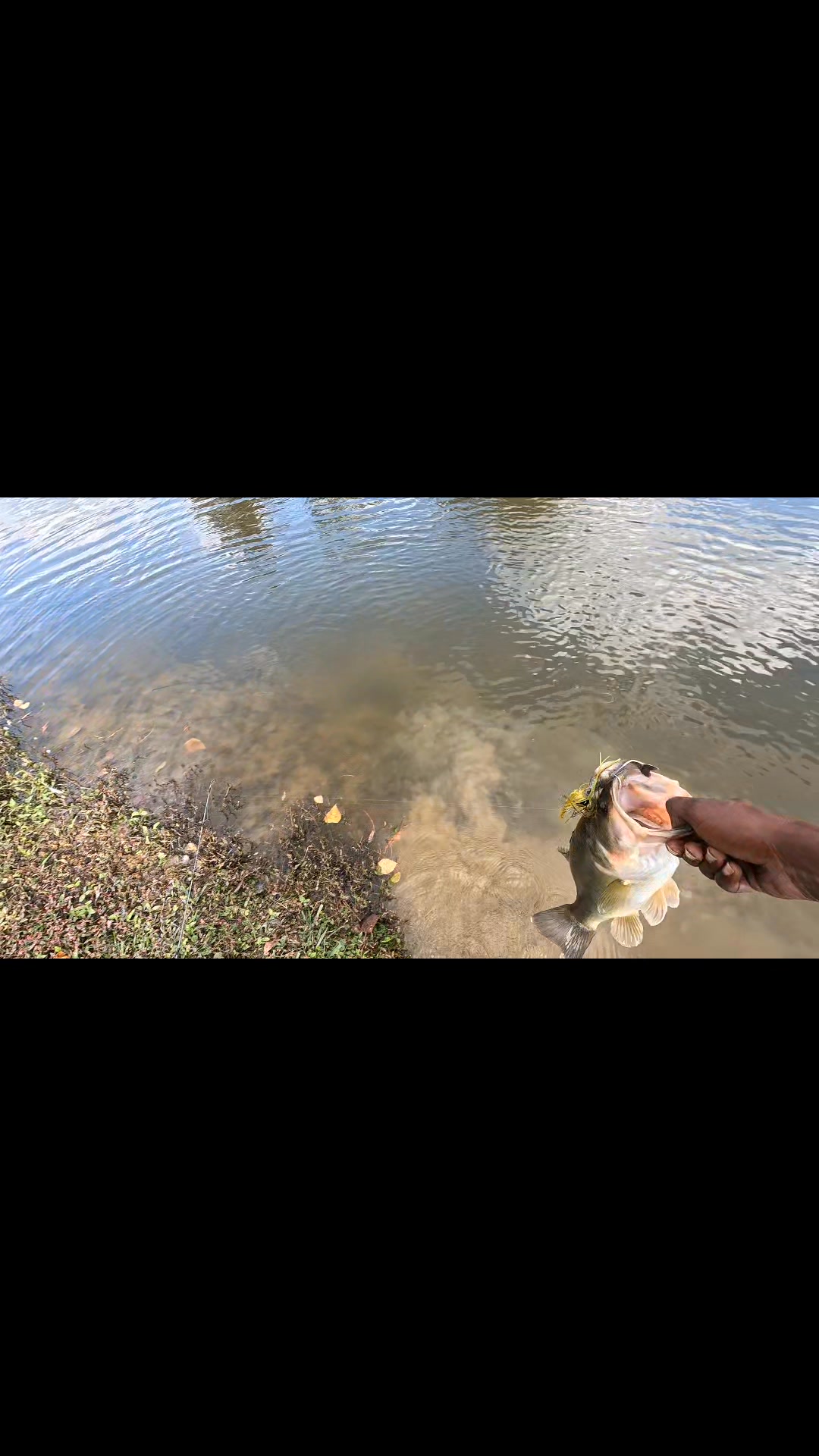 If you know me and love fishing follow me! Thefishtracker! 👍💪🤝 ️💯 ...