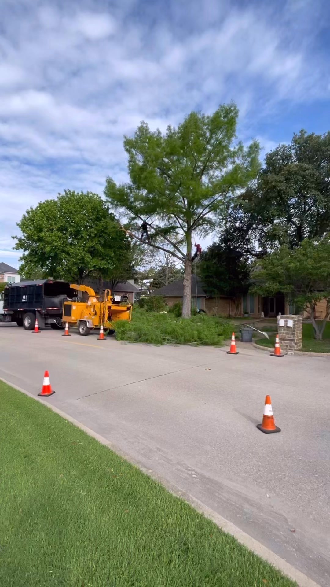 Tactical Tree Operations LLC
