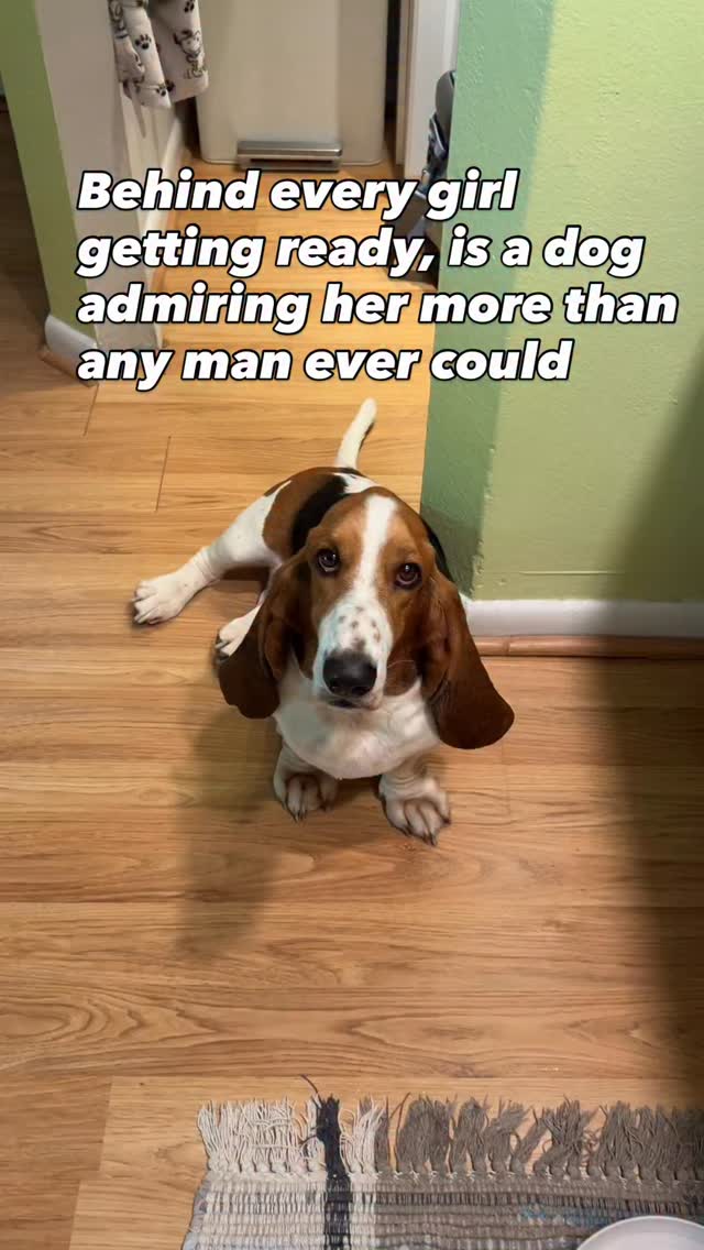 Thank you, Ruckus. I feel gorgeous now! #bassethound # ...