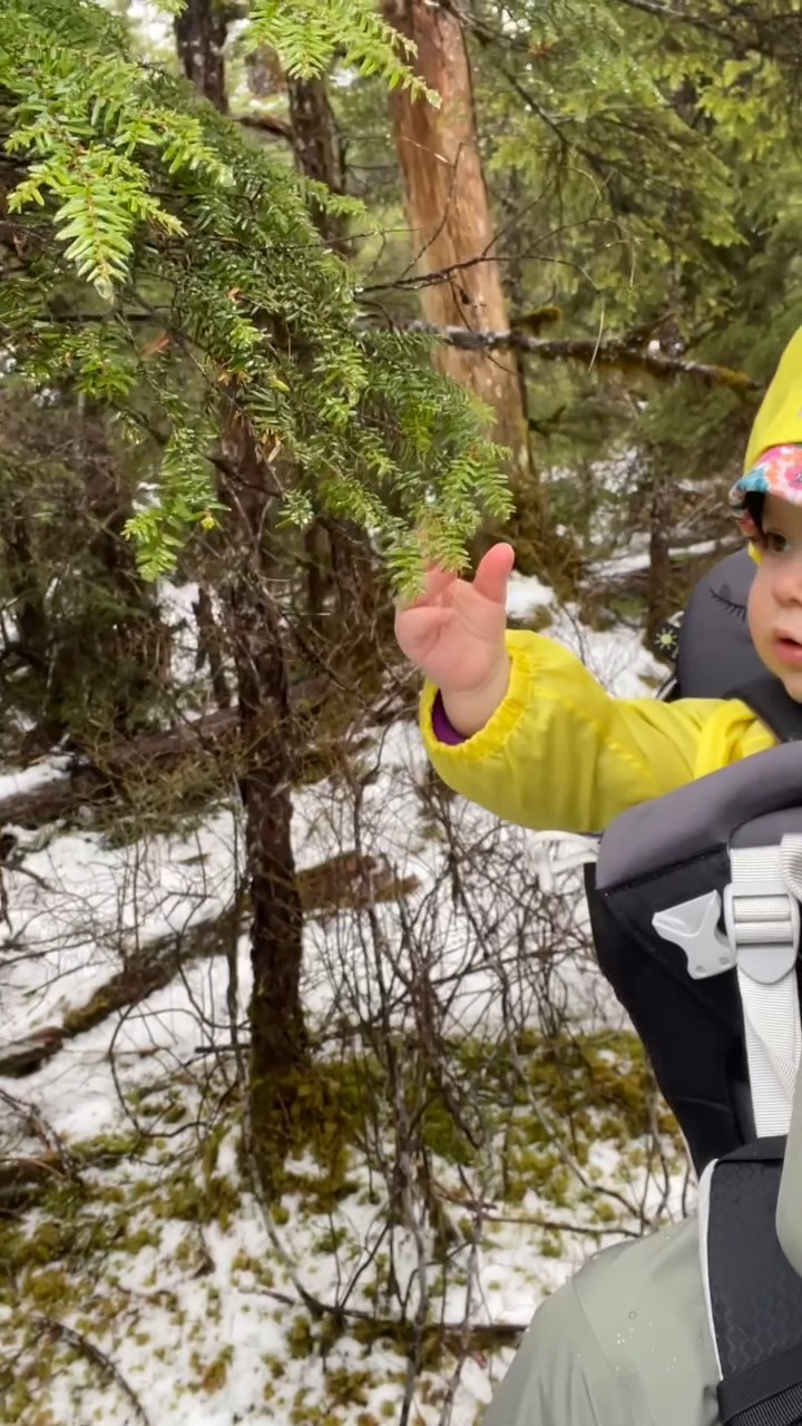 A mama and her one-year-old soaking up the magic of the Alaskan woods ...