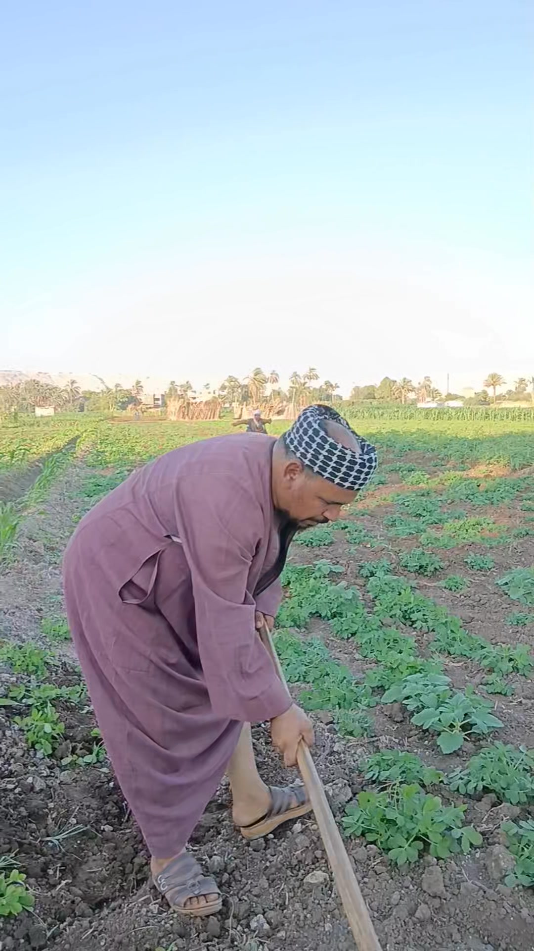 لما تكون خاطب جديد وعايز تراضي ابو العروسه #نصه_الصعيدي #نصه | نصه وابو ...
