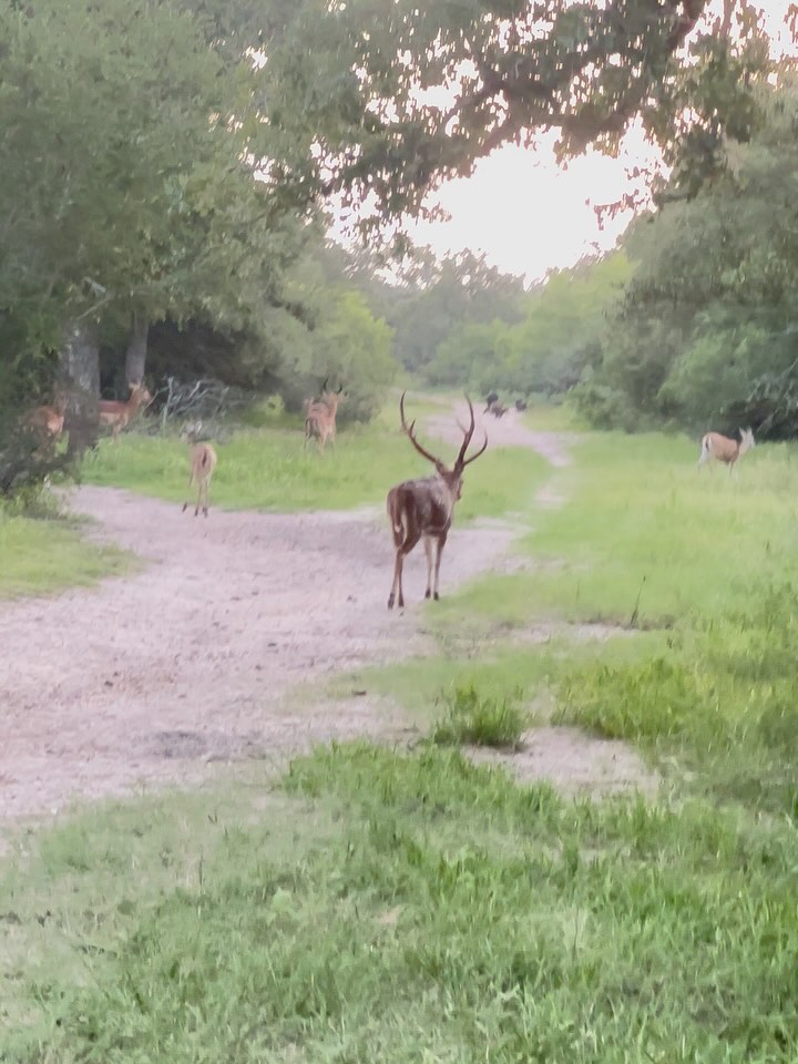 Double-l Ranch - Double-l Ranch added a new photo.