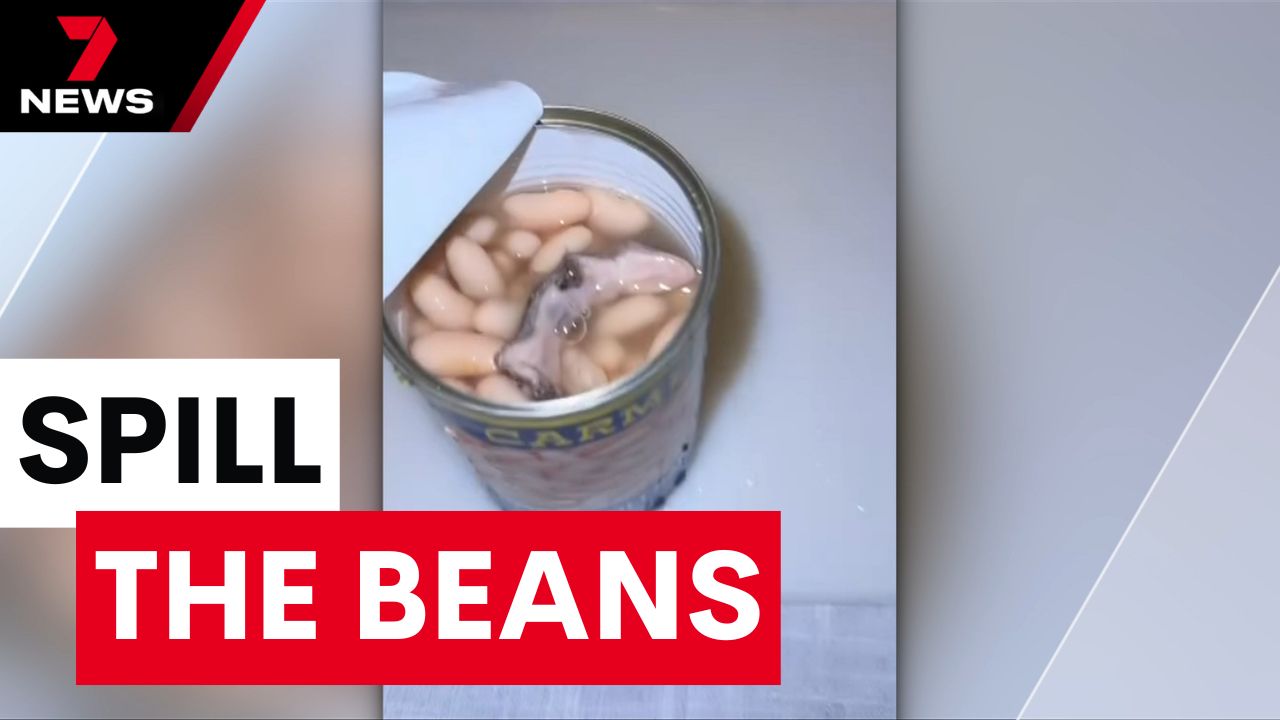 A Melbourne family claims to have found a lizard inside a can of beans ...