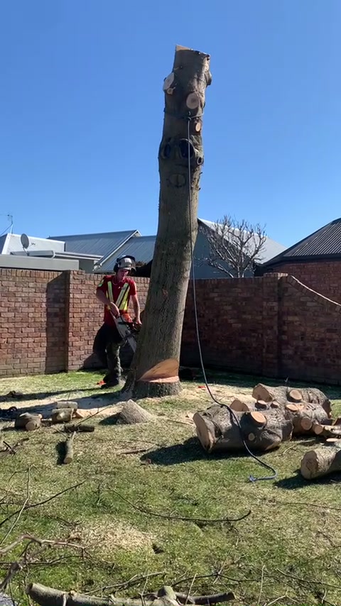 Edwards Tree Service on Reels | Facebook