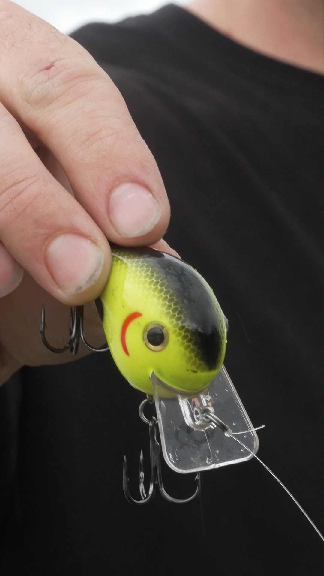 fat boys fishing lures Paul Brown's Boy Pro Sinking Twitchbait Designed to run fast and straight with a sub Paul Brown's Fat Boy Suspending