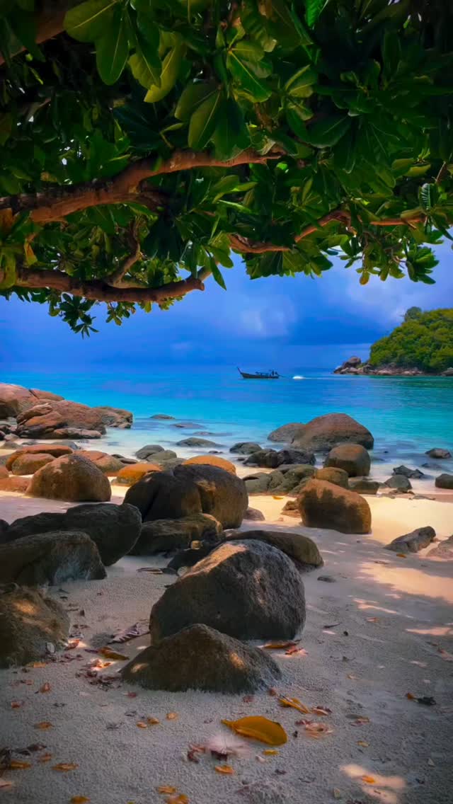 Beach 🏖️☀️🌊 #Summer #Vacation #ocean | Bm pro | Facebook