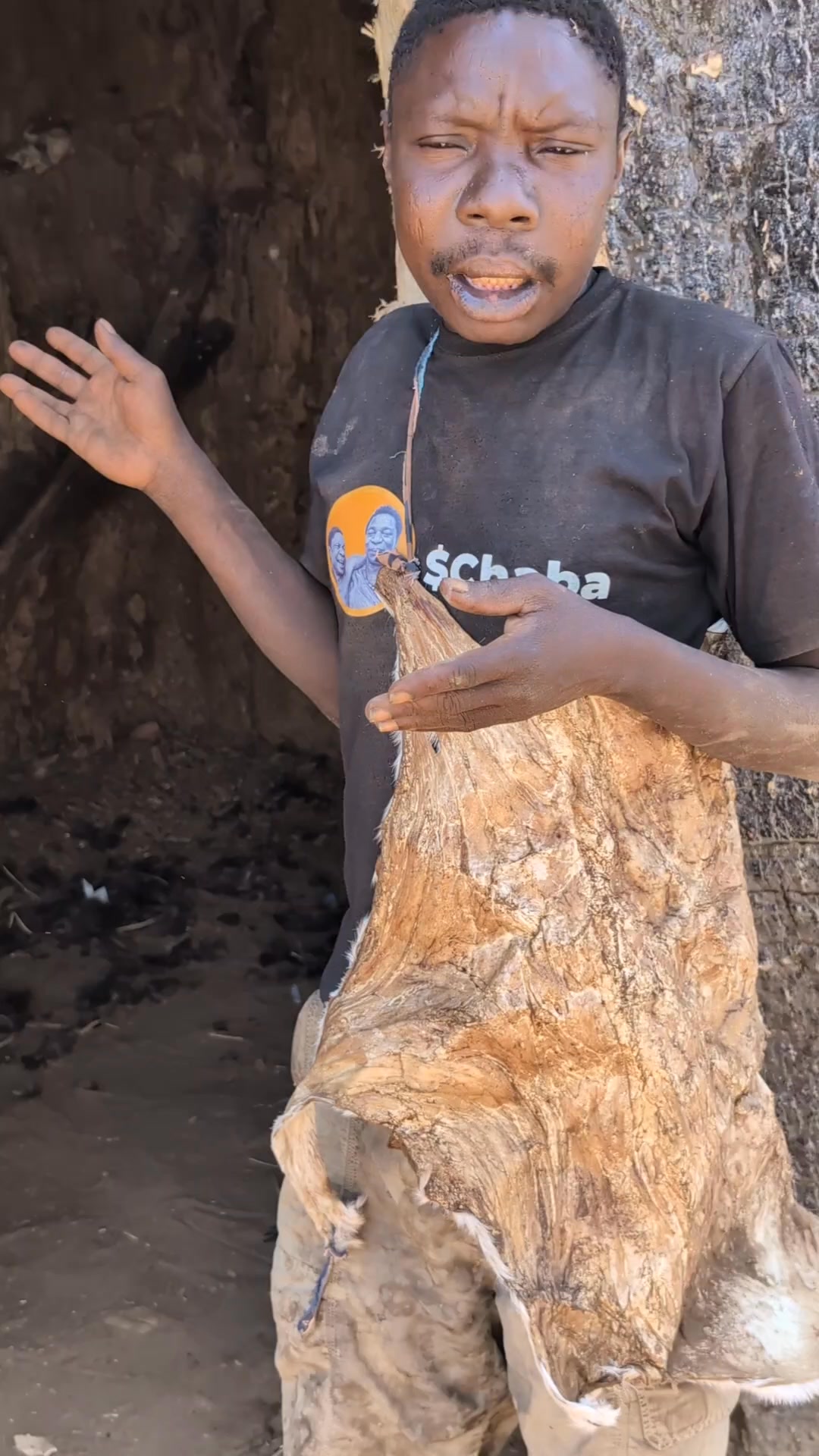Inside a baobab tree 🌳 Chaba explains how nature becomes a home ...