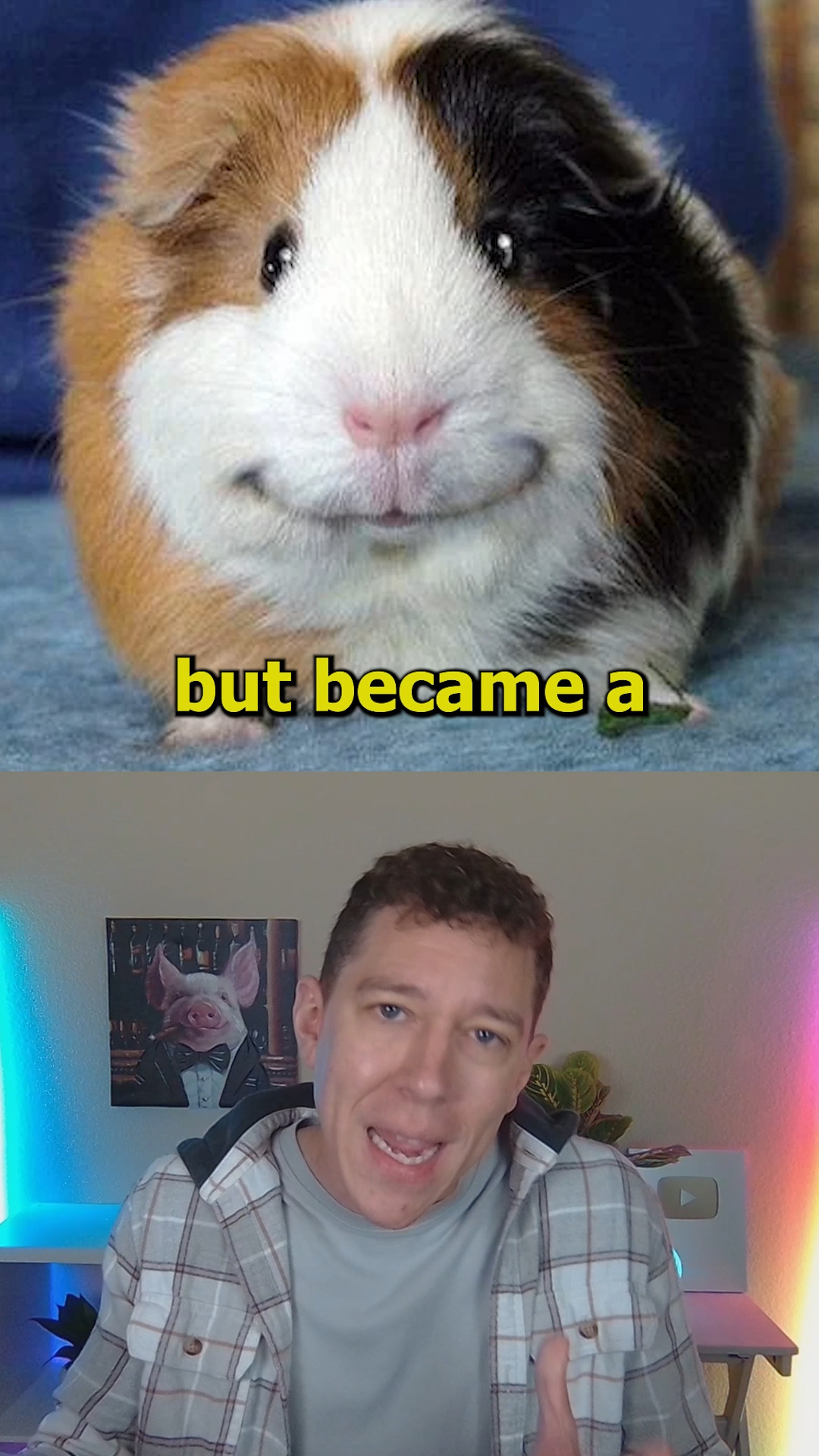 TheFeedski - The legend of Randy the Guinea Pig that... | Facebook