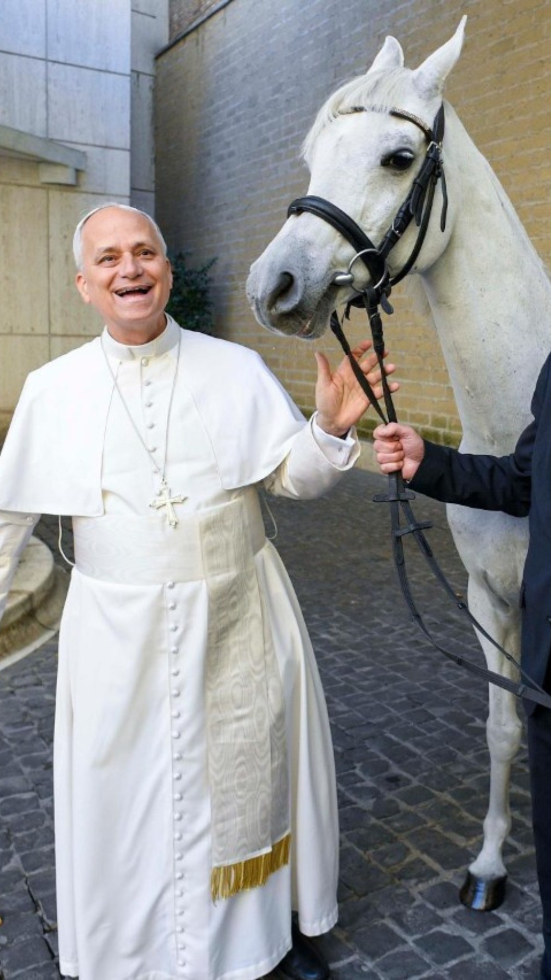 a-polish-man-has-donated-a-purebred-arabian-horse-to-pope-leo-xiv-ahead