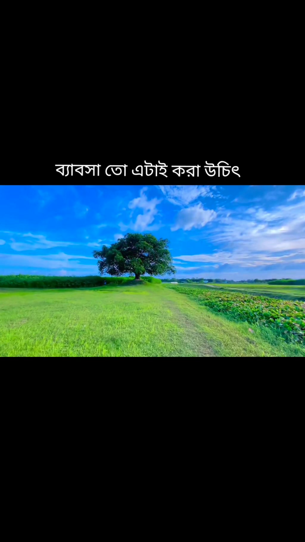 RJ Shafi