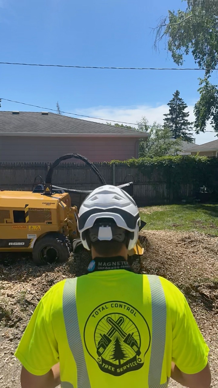 🌳 Happy Stump Day🪓 #humpdaywednesday #StumpGrinding #TreeCare # ...