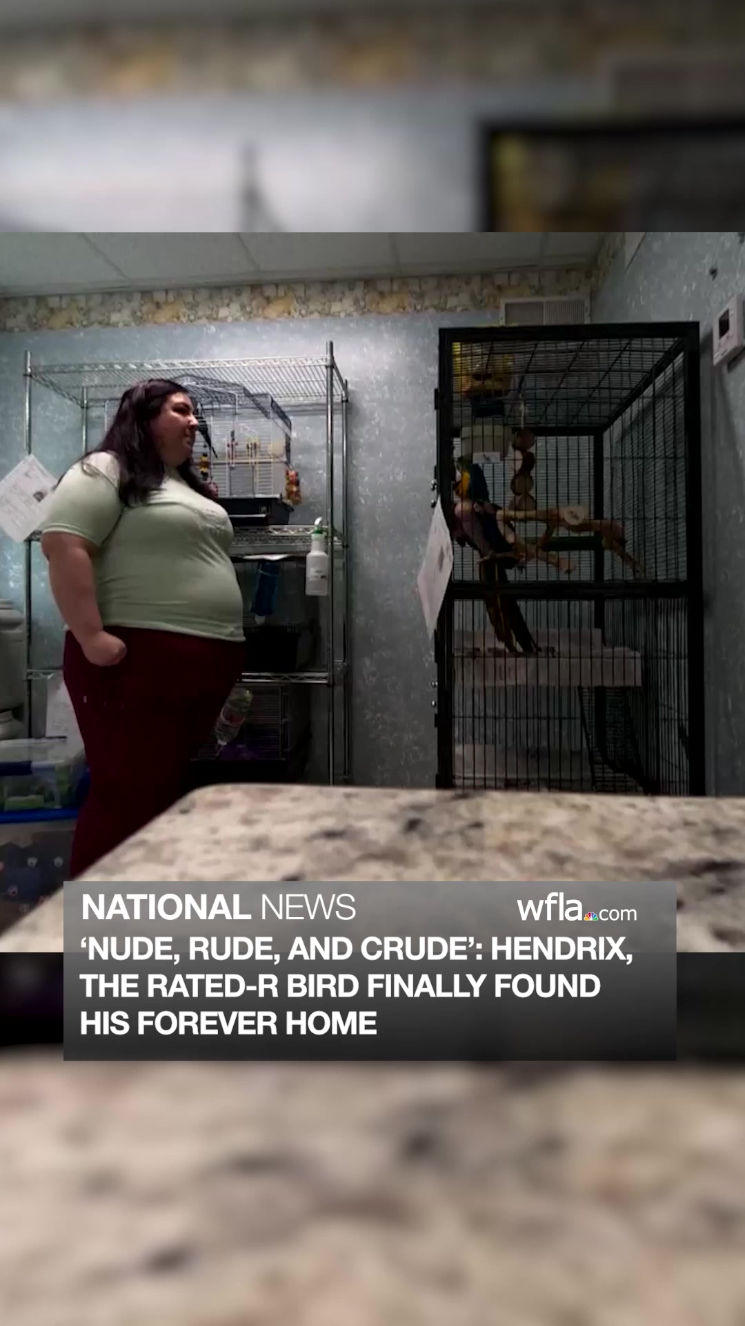 'PARTIALLY NUDE, RUDE, AND CRUDE' | Hendrix, the Rated-R parrot ...