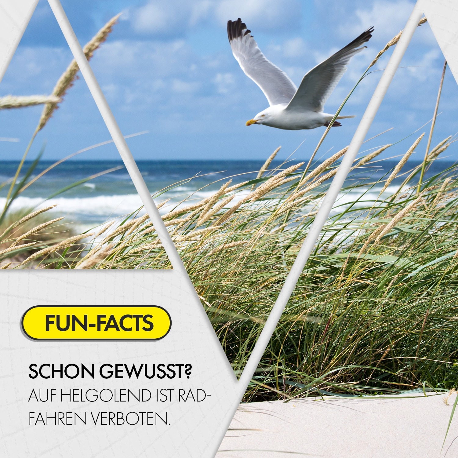 smith fahrradhelm convoy mips sage Optics Helmet - AdBlue Nachfüllflasche tune the fit for Ebike Models:RX30 Single Drive FISCHER Cita 1.0 –