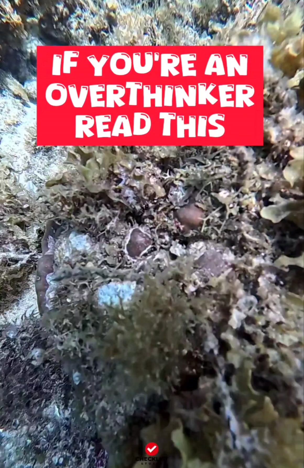 If you're an overthinker, read this | Checklist Studio | Facebook