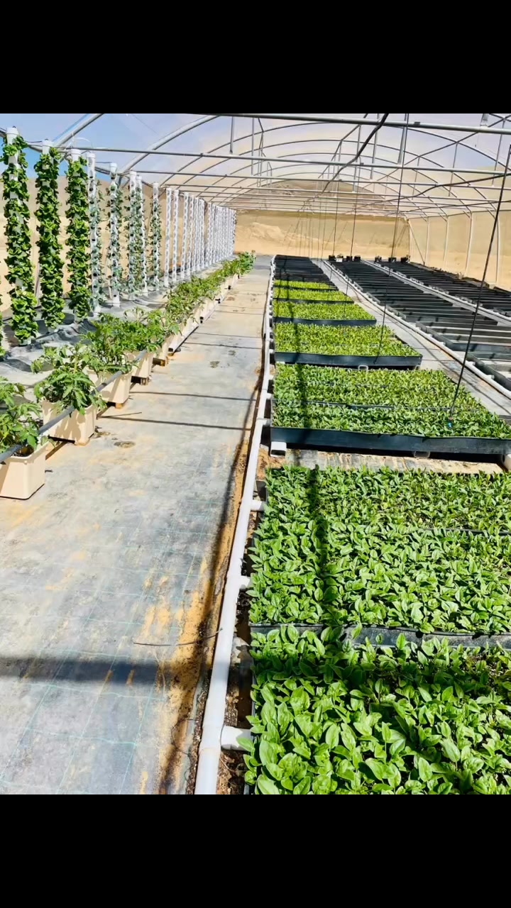 Mauritius installation of a la scale commercial hydroponic project! # ...