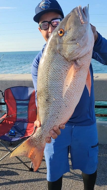 Pargo criollo #pescaconyoelgil #pescaconyoel #pargo #fishing | Pesca ...