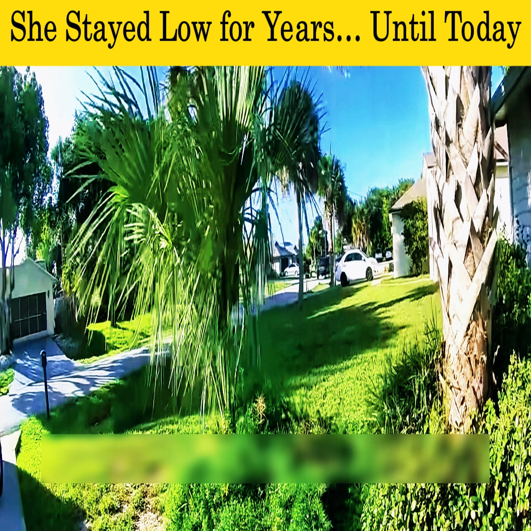 She Stayed Low for Years… Until Today | Baddies Fans | Facebook