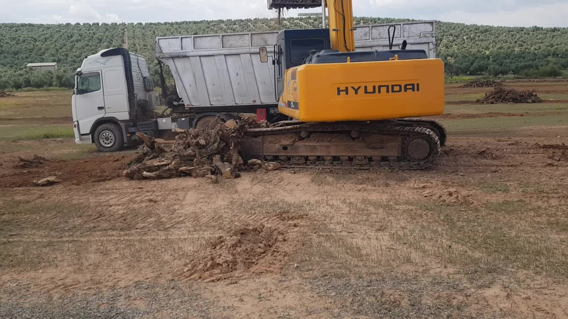 Excavaciones Rucavi