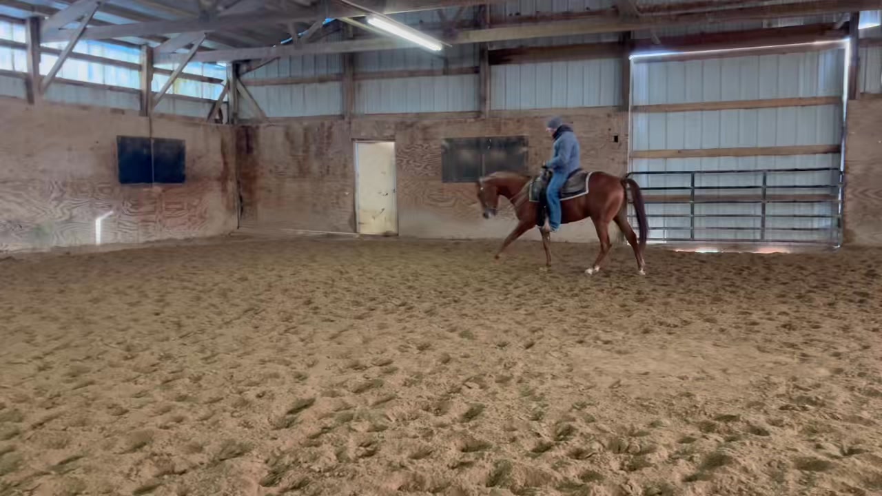 High Road Ranch - 🆒🆒🆒🆒🆒🆒🆒🆒🆒🆒🆒🆒🆒🆒🆒🆒🆒🆒🆒 2023... | Facebook