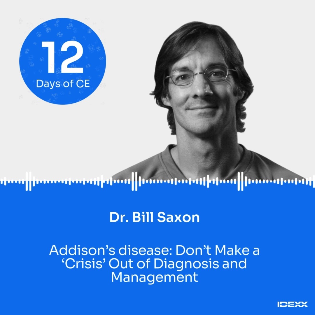 Addison’s Disease Diagnosis and Management Tips from Dr. Bill Saxon