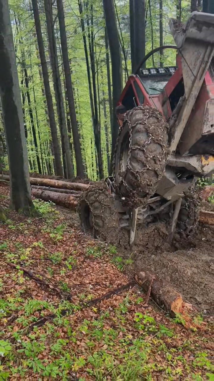 Logger work with timberjack 🌲🪚🚜🪵🥾 . . . . #foryoupageシ #brotherhood # ...