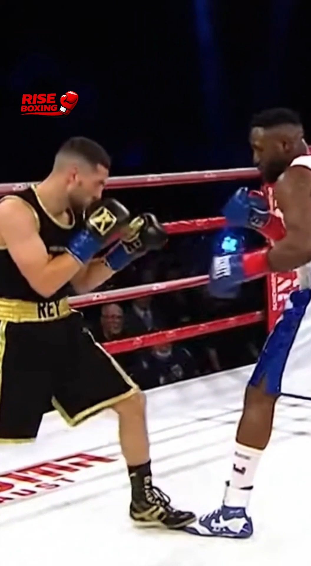 A fan suddenly jumps into the boxing match 😳🥊 and starts hitting the ...