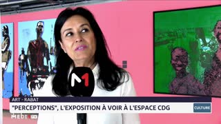 Extrait Les artistes ivoiriens Armand Boua Officiel et Yeanzi ...