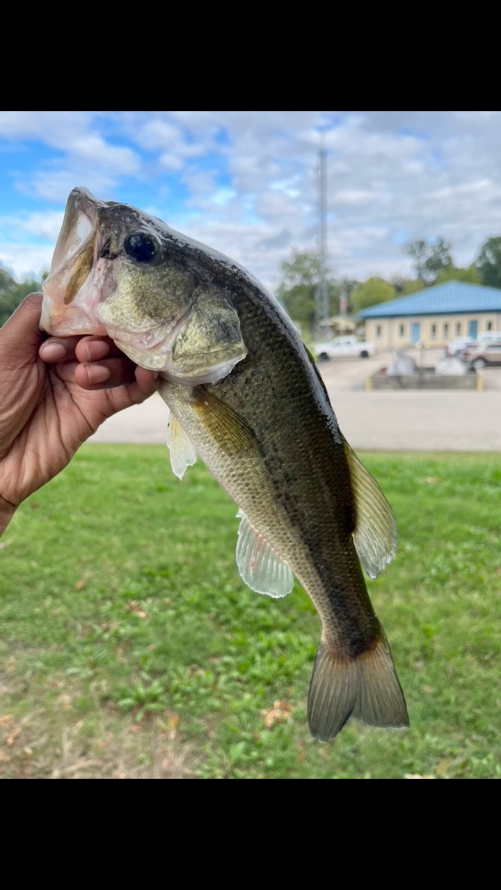 💚 #bassfishing #fishing #fyp #fypシ | Dishaya Ross | Facebook