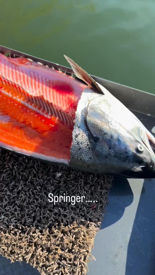 The finest salmon on the west coast. Now Booking for 2026 Rogue River ...