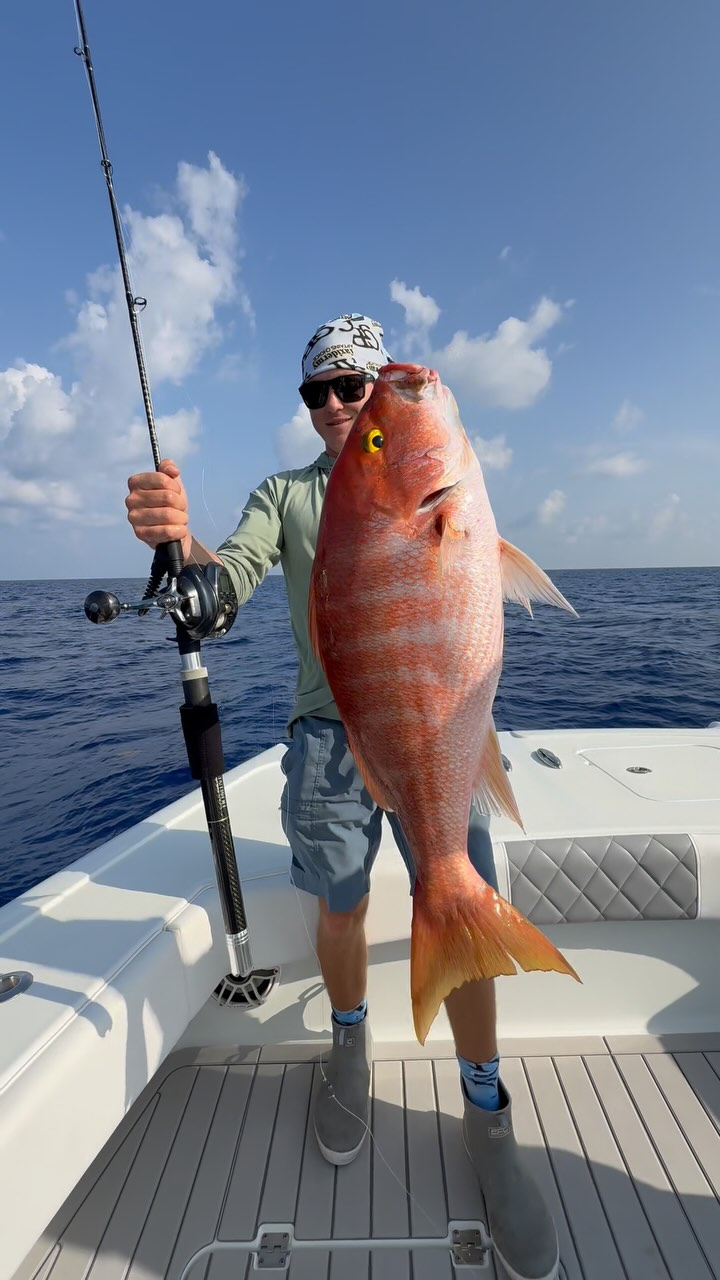 Another near world record yellow eye snapper at pulley ridge caught on ...