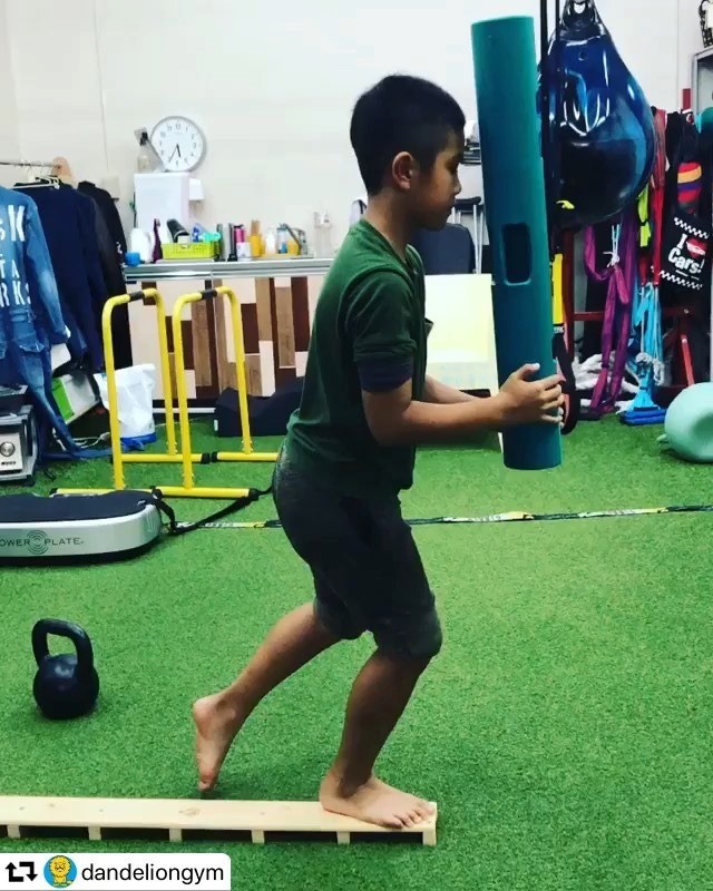 Vipr Japan 10月4日 Vipr Lmt Combine認定コース開催 Facebook