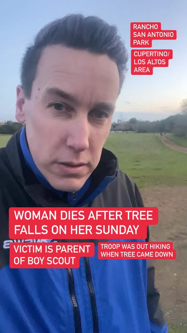 Woman killed when tree falls on her at Rancho San Antonio Park. # ...