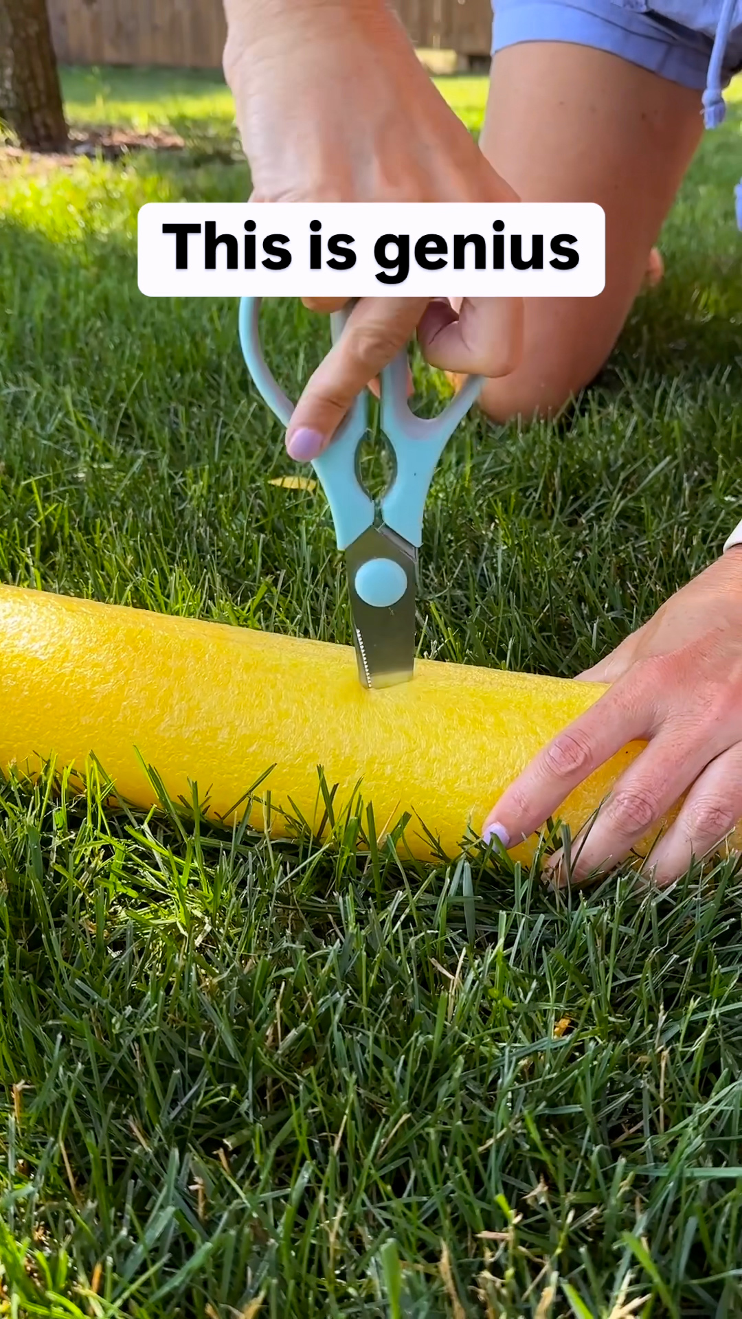 Randy & Mandy - DIY Pool noodle gardening hack 💦 A cheap,... | Facebook