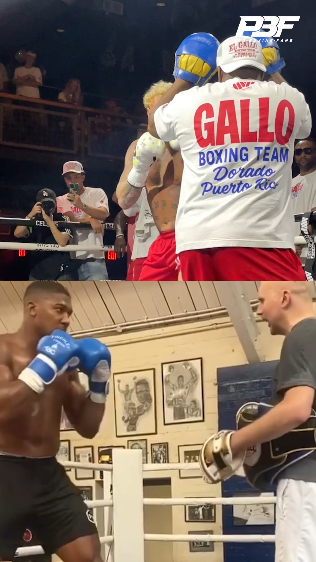 Pro Boxing Fans - ‼️ Watch how Jake Paul and Anthony... | Facebook