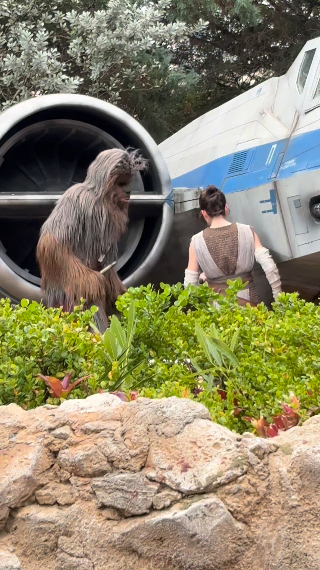 What do you think these 2 are up too? #chewy #Chewbacca #rey #starwars ...