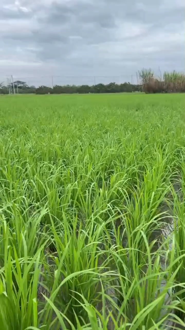 บ้านนา ยูนีค ฟาร์มสเตย์ Baan na Unique Farm Stay