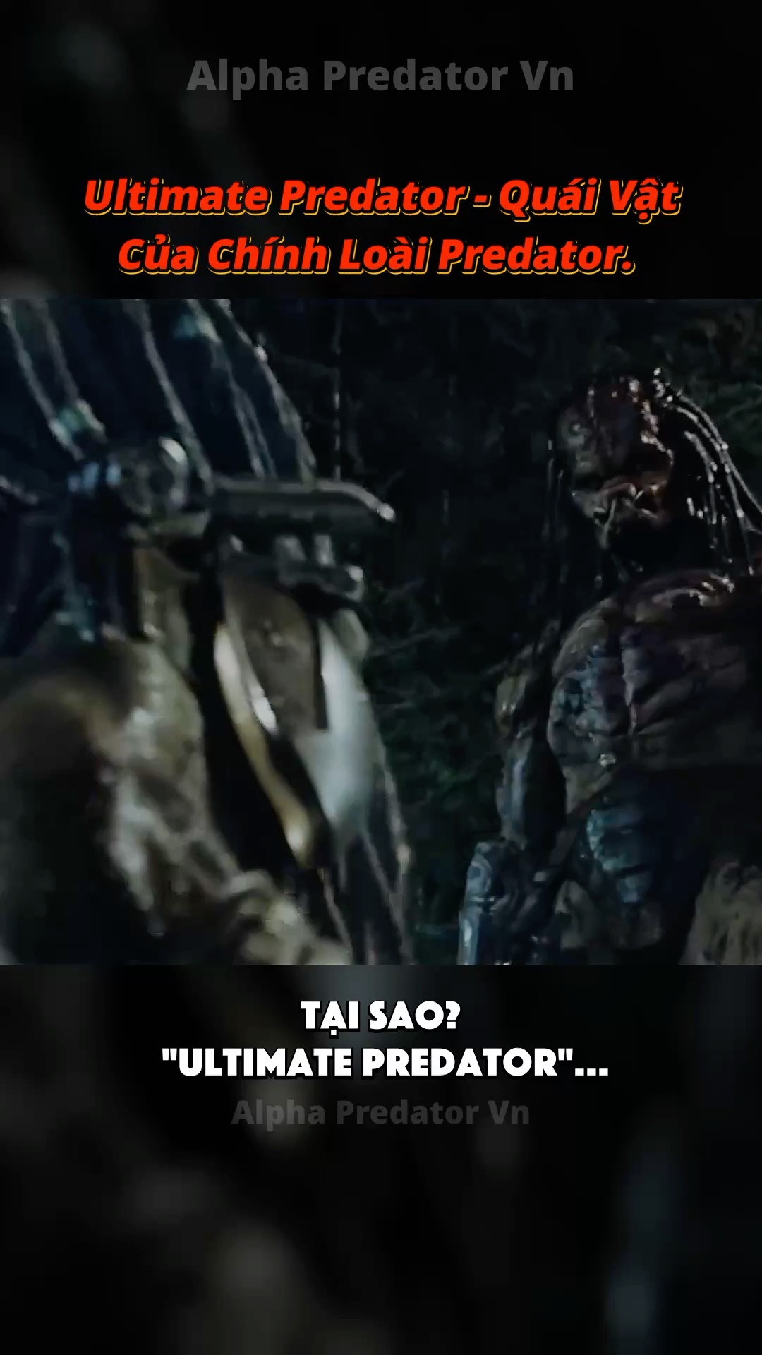 Tại Sao “Ultimate Predator” Là Kẻ Săn Mồi Mạnh Nhất Từng Xuất Hiện ...