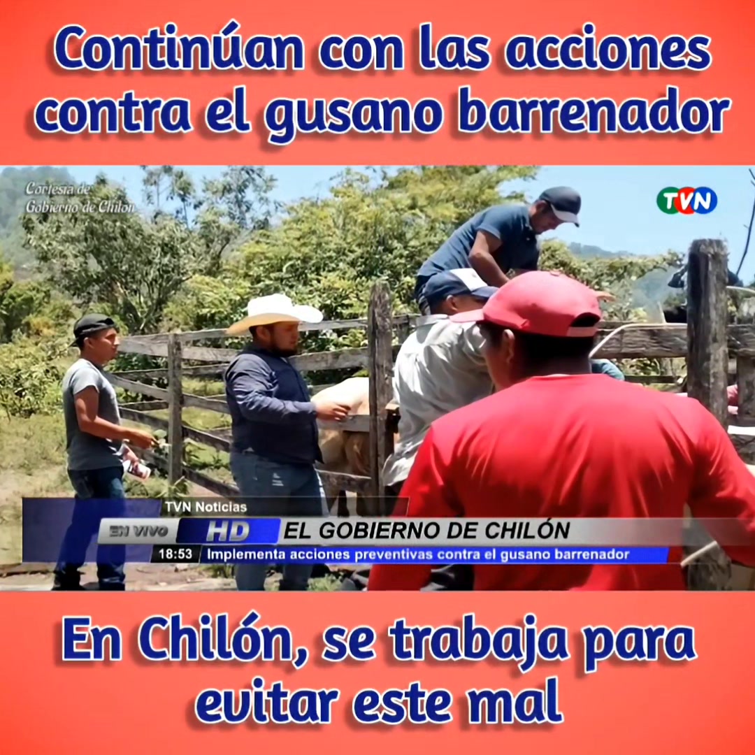 TVNoticias Lunes 28/Julio/2025. *-Continúan con las acciones contra el ...