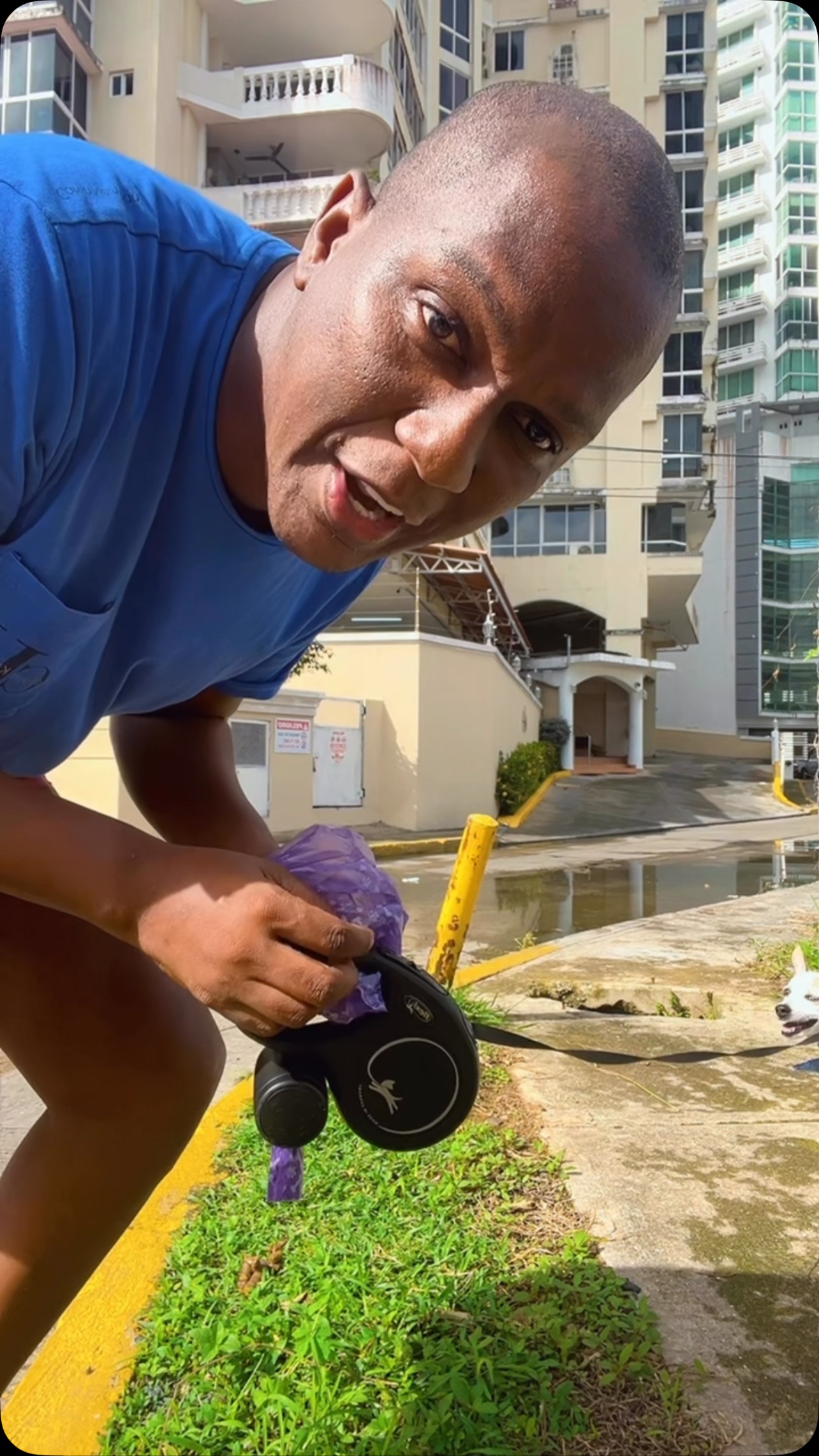 Tutorial de ¿cómo recoger la caca de su perro? | Franklyn Robinson ...