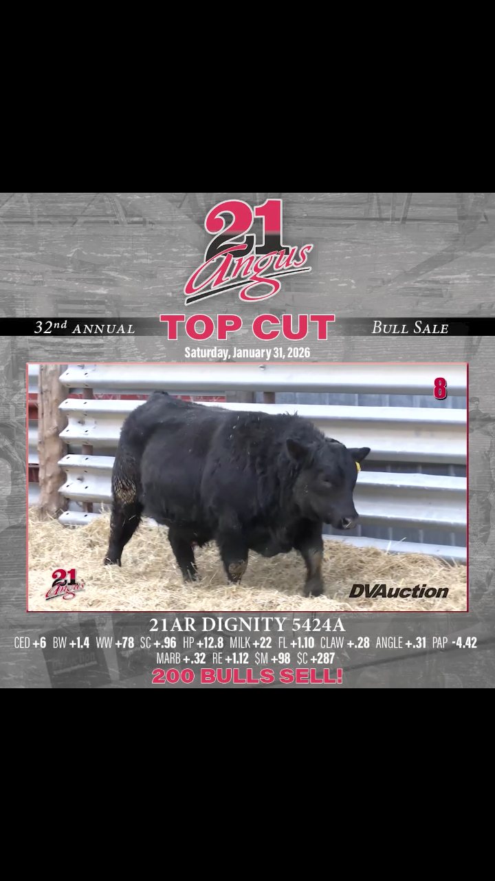 21 Angus Ranch on Reels | Facebook
