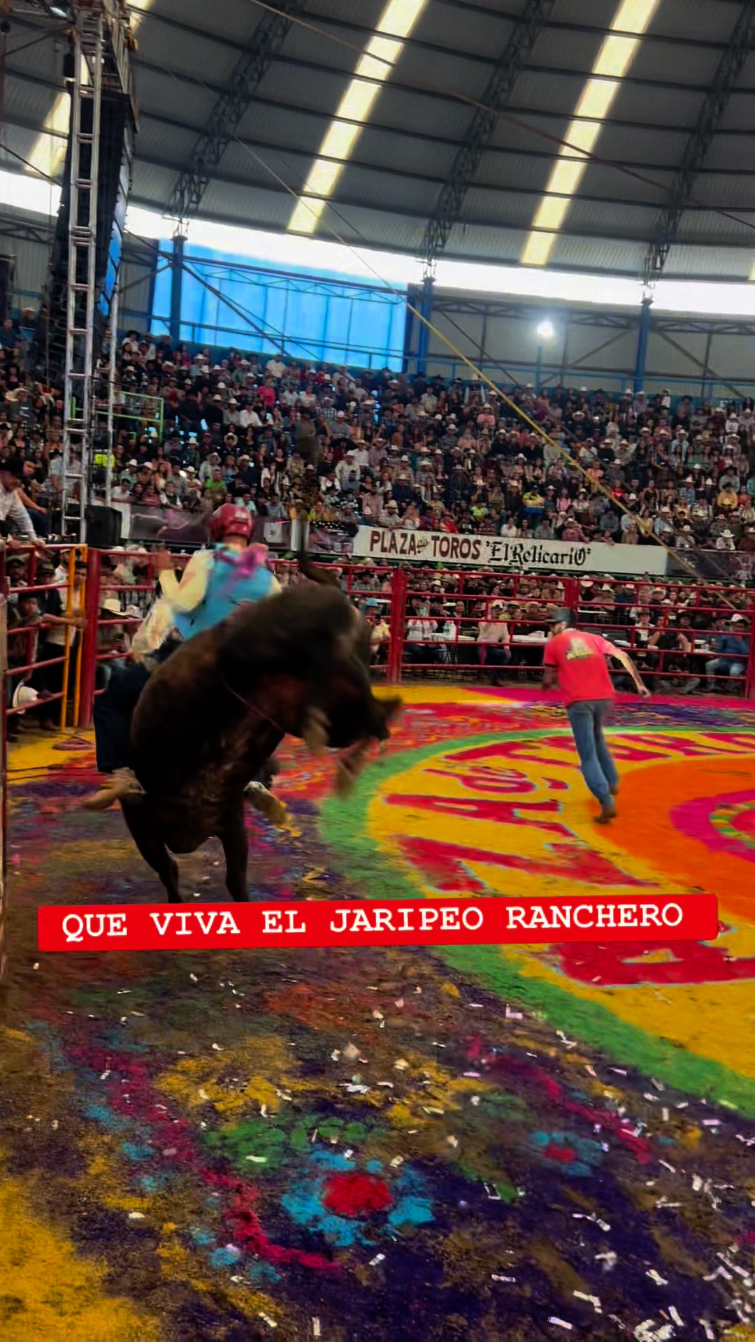 🐂 ALEGRE 🐂 Los Indestructibles de H3H #RELICARIODEMORELIA #michoacan # ...