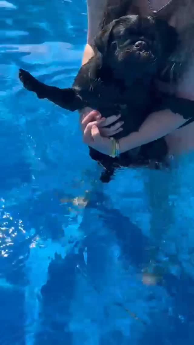 Acá aprendiendo a nadar!!!! Todavía no conseguimos un flota flota pero ...